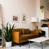 ¥インテリアアート「The Chaotic bird」Juri