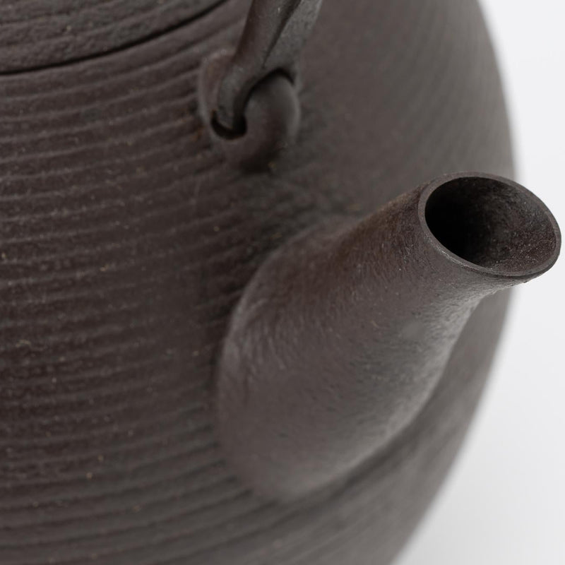 【予約商品】[鈴木盛久工房×HERALBONY]南部鉄器「小さき林檎」（大）