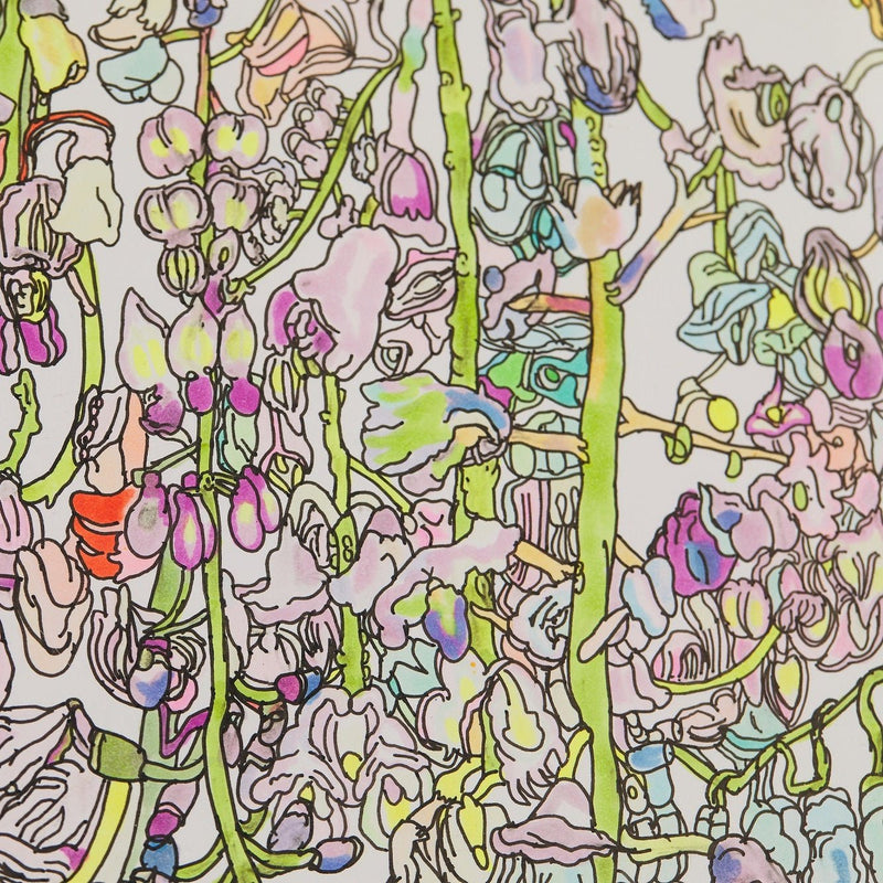 ￥「藤の花」原画作品Kanta Wajima