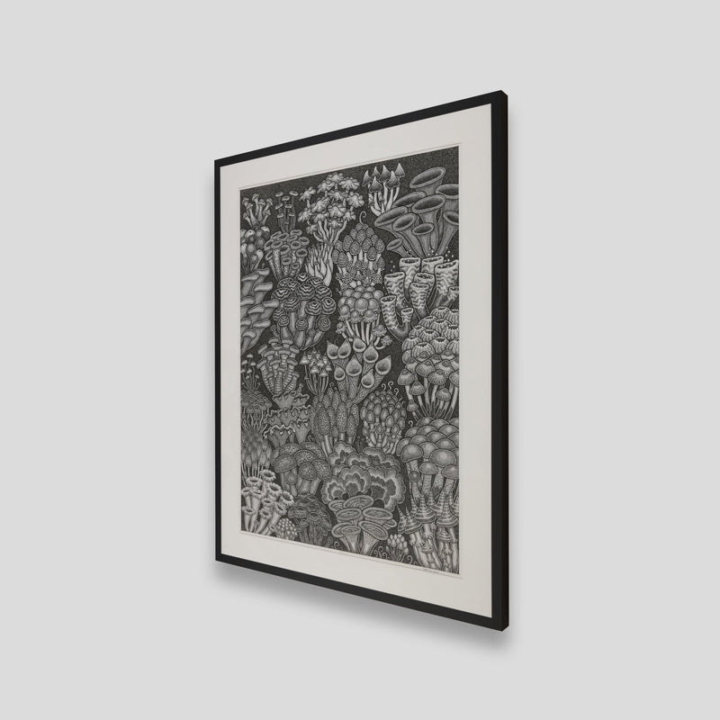 ￥「ファンタジーマッシュルームズ2」原画作品Maima Tani