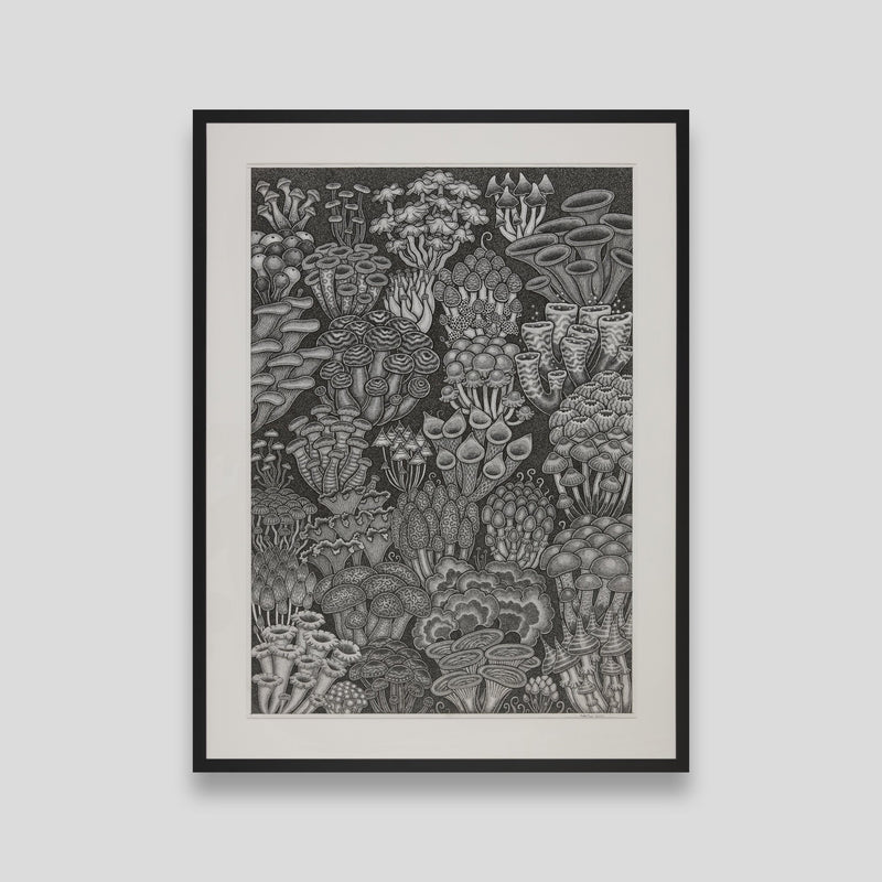 ￥「ファンタジーマッシュルームズ2」原画作品Maima Tani