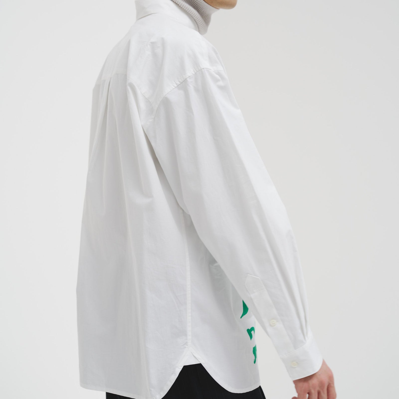 レギュラーカラーシャツ「green brush-mm2025」 – HERALBONY