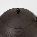 ￥【予約商品】[鈴木盛久工房×HERALBONY]南部鉄器「緑の風景」（中）Kaoru Iga