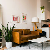 ￥インテリアアート「エキストラバージンオリーブオイル」Taisuke Kinugasa