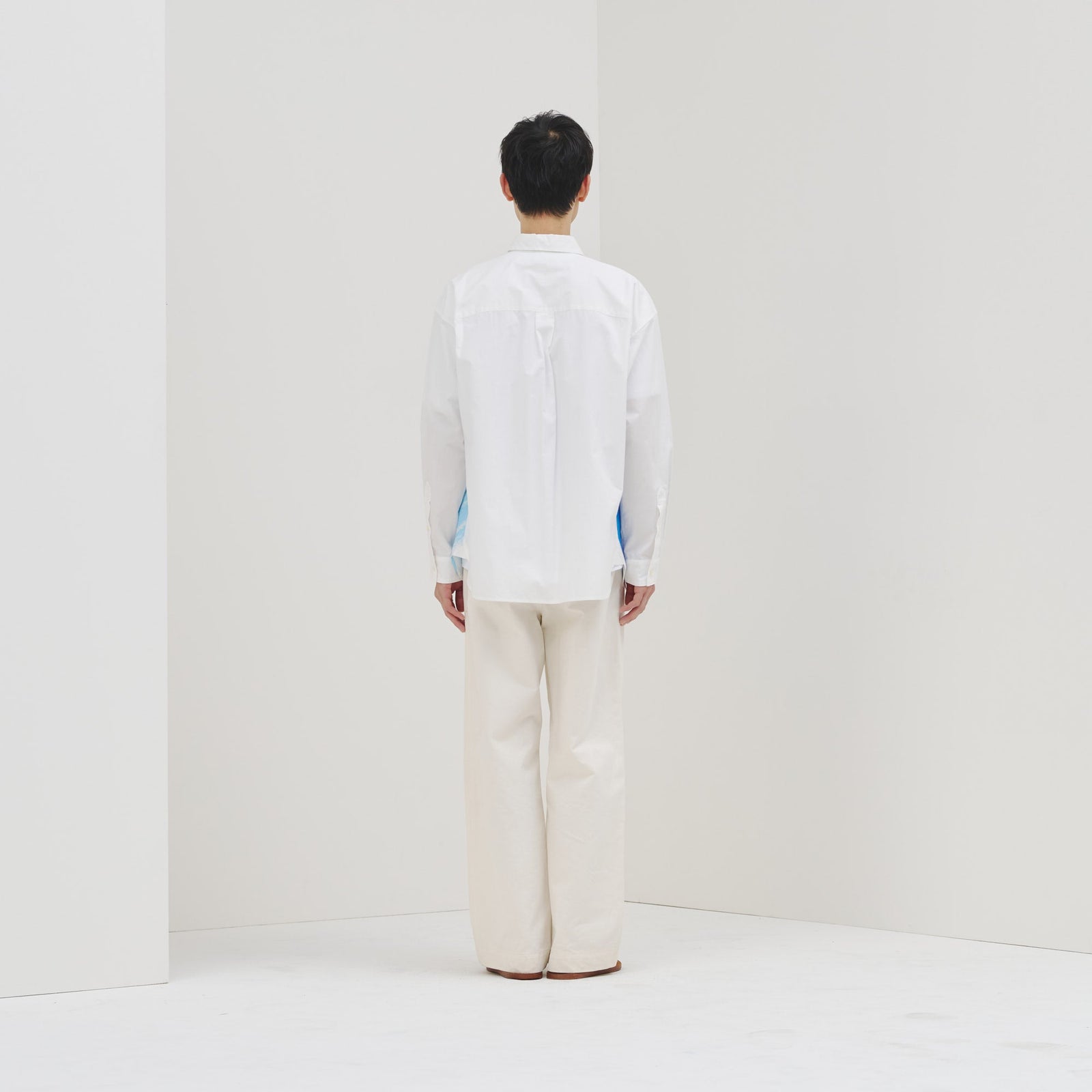 レギュラーカラーシャツ「タイトル不明」 – HERALBONY