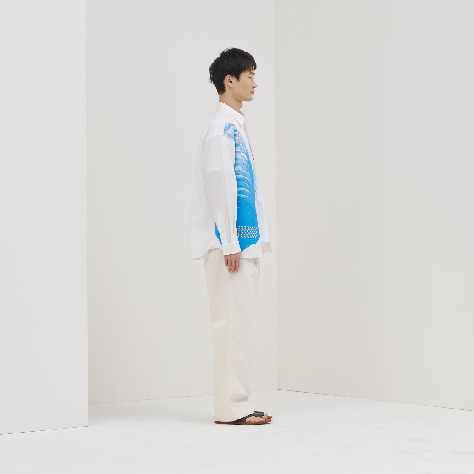 レギュラーカラーシャツ「タイトル不明」 – HERALBONY