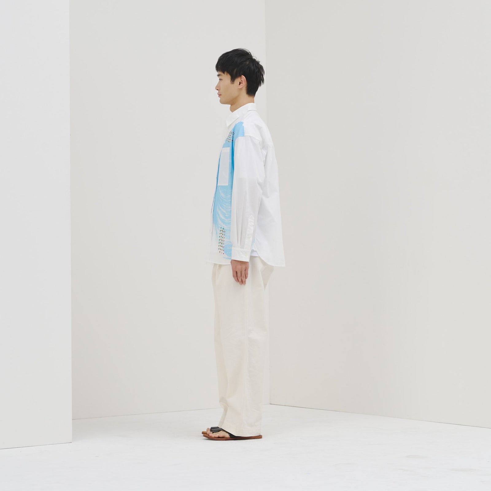 レギュラーカラーシャツ「タイトル不明」 – HERALBONY