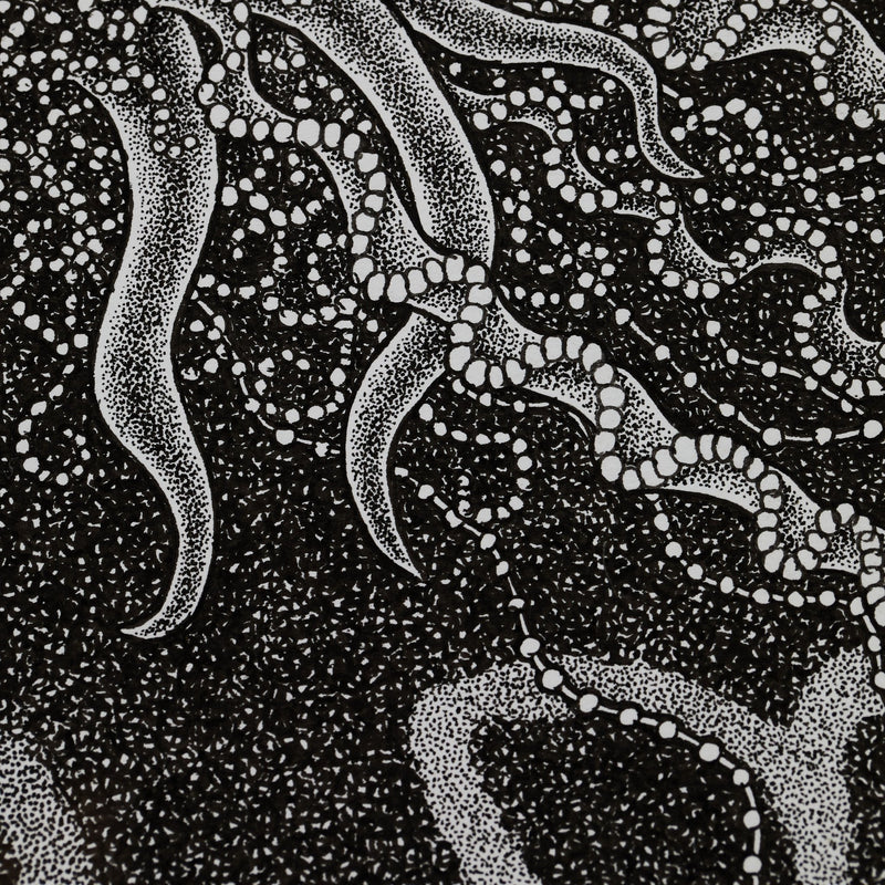 ￥「カツオノエボシ」原画作品Maima Tani