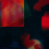 ￥「無題」原画作品Naoto Iguchi