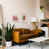 Art d'intérieur « Huile d'olive vierge extra »