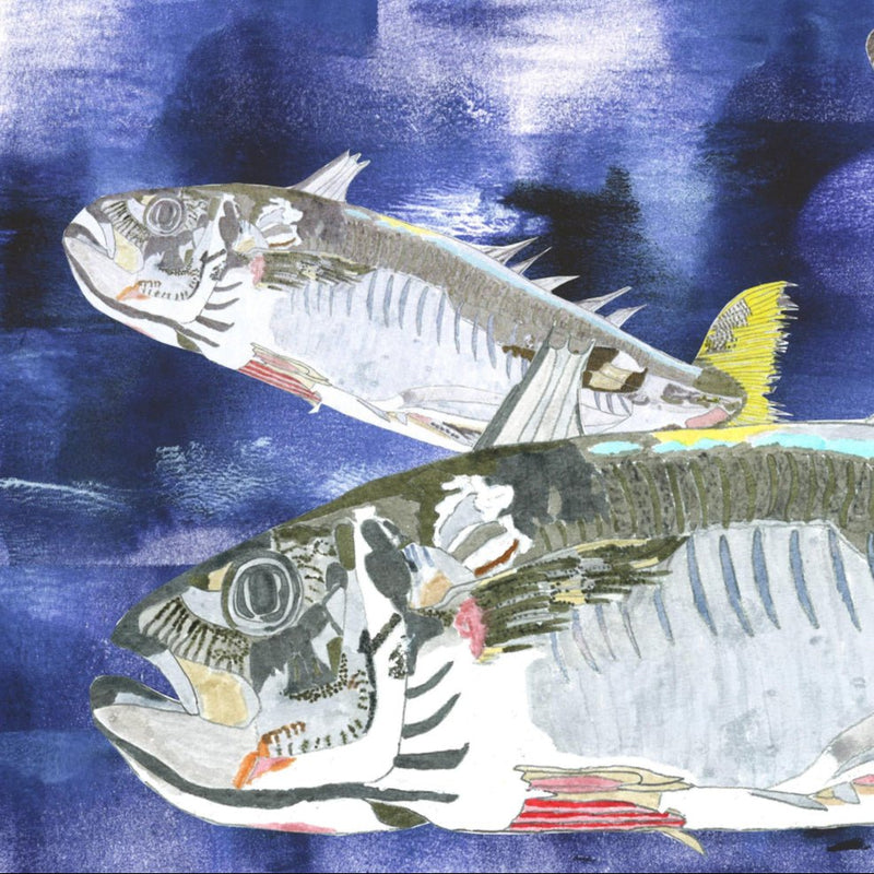 ￥「アジ 」原画作品Shinichiro Tarui