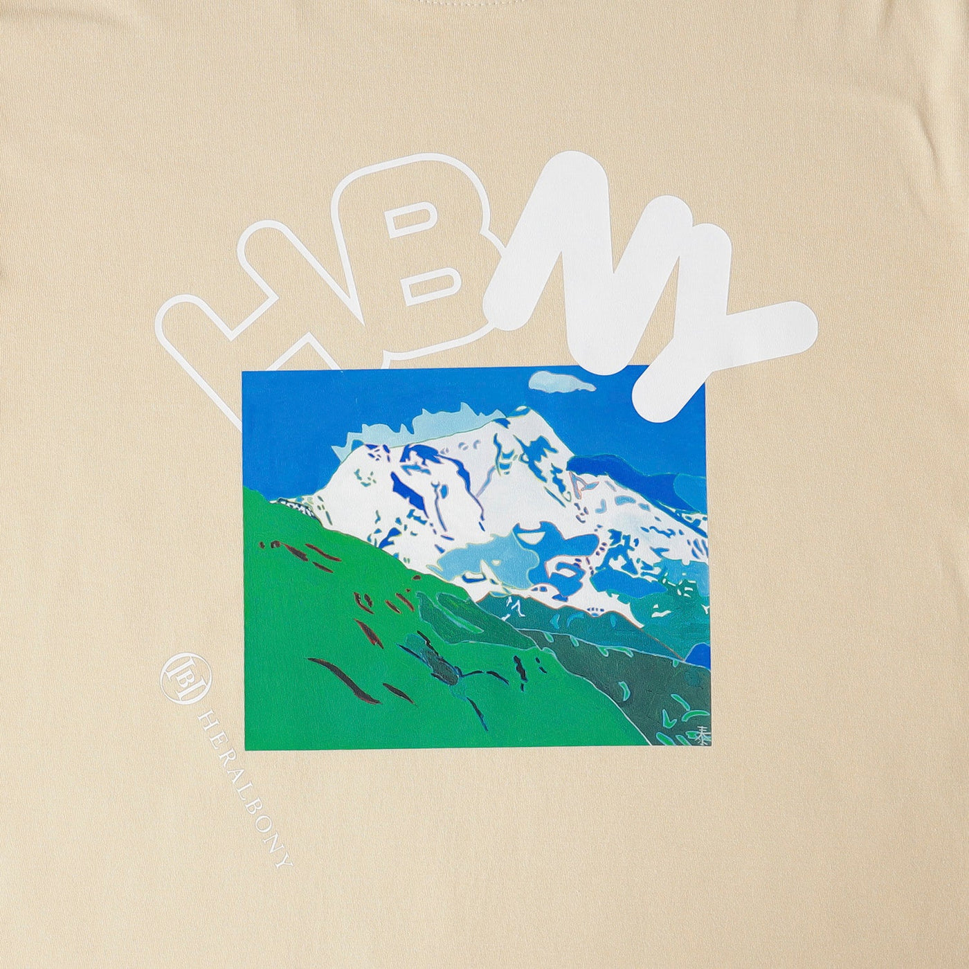 VIEW ART T「フンザのカラコラムの連峰」 – HERALBONY