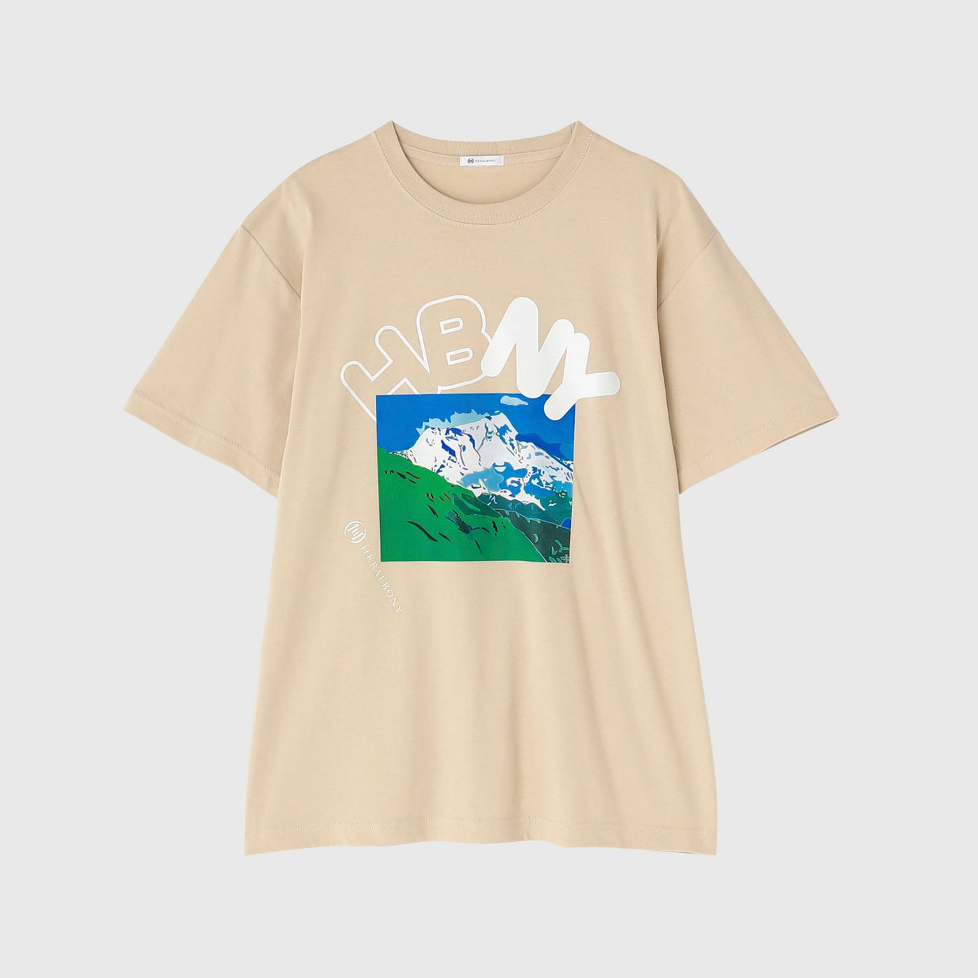 VIEW ART T「フンザのカラコラムの連峰」 – HERALBONY